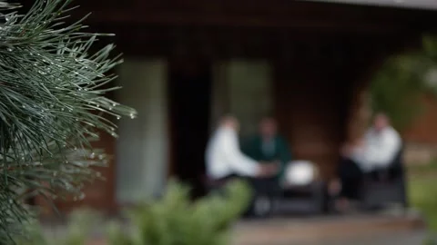 Raindrops on a pine branch on a blurred background of a company of young guys. Stock Footage 257119407