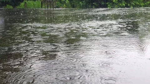 Raindrops  – A Poetic Ode to the Monsoon"*   Video stock 314500042