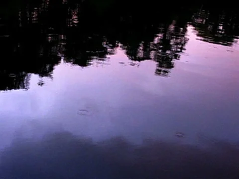 Raindrops On Pond Stock Footage 8659917