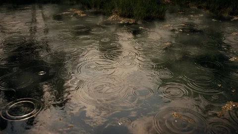Raindrops Pond Ripples 3D render Video stock 113505800