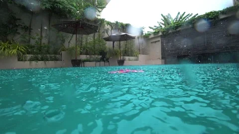 Raindrops on pool water in hotels Floating flowers Video stock 247268081