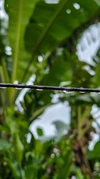 Raindrops on a power line Foto stock