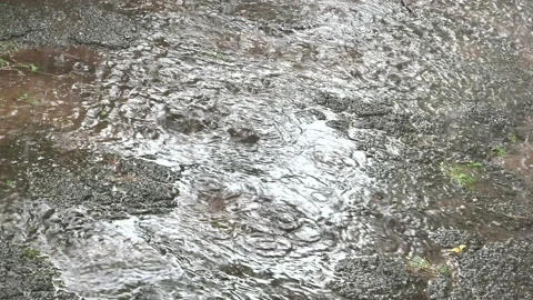 Raindrops in a puddle on the asphalt.  Stock Footage 135682862