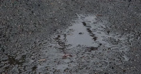 Raindrops in a puddle on the asphalt Stock Footage 190963148