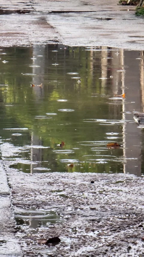 Raindrops in Puddle on Asphalt Street - Reflections. Видео 333343386