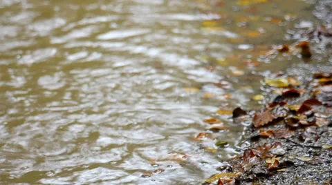 Raindrops in a puddle in Autumn Stock Footage 32391980