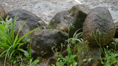 Raindrops in puddle behind stones Video stock 171380181