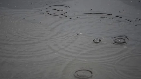 Raindrops in puddle during rainstorm Stock Footage 77833327