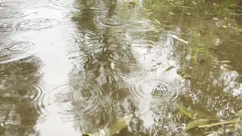 Raindrops In Puddle On A Farm Flooding Stock Footage 219675058