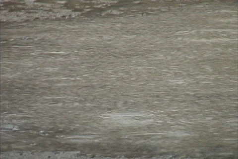 Raindrops on puddle Stock Footage 745444
