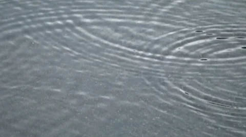 Raindrops into puddle  Vidéo 1002123