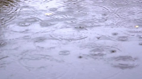 Raindrops on the puddle Stock Footage 31859620