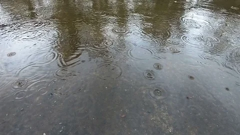 Raindrops in puddle Stock Footage 88227551