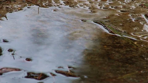 Raindrops on a puddle Stockbeeldmateriaal 105623354