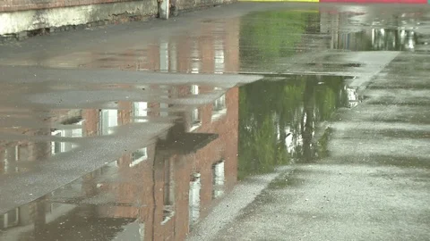 Raindrops in a puddle. Stock Footage 114879628