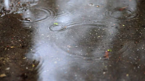 Raindrops on a puddle Stock Footage 154809894