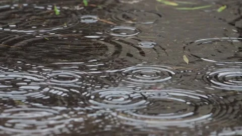 Raindrops on a puddle Stock Footage 219851651
