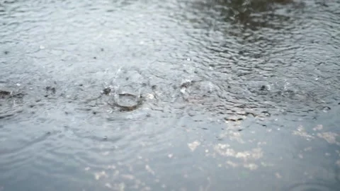 Raindrops On A Puddle Stock Footage 244998975