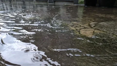 Raindrops in a puddle Stock Footage 309341774