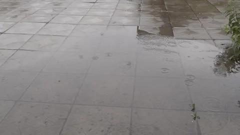 Raindrops in a puddle, it's raining 스톡 동영상 306148347