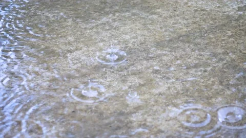 Raindrops in a puddle on the pavement. Stock Footage 197991511