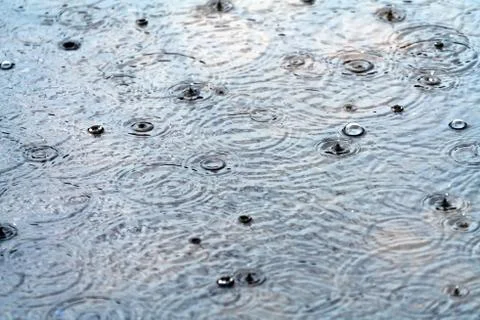 Raindrops in a puddle, rainy cloudy day Stock Photos