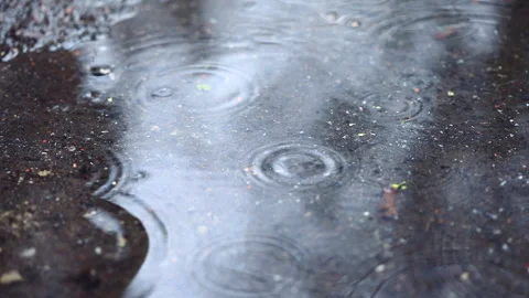 Raindrops on a puddle slomo Stock-Footage 179958991