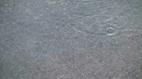 Raindrops into puddle slow mo  Vidéo 1003596