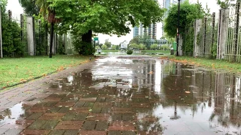 Raindrops in a puddle, slow motion Stock Footage 162212931