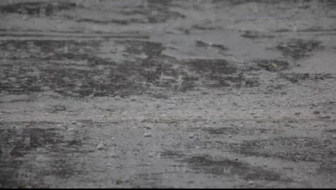 Raindrops in puddles Video stock 8554526