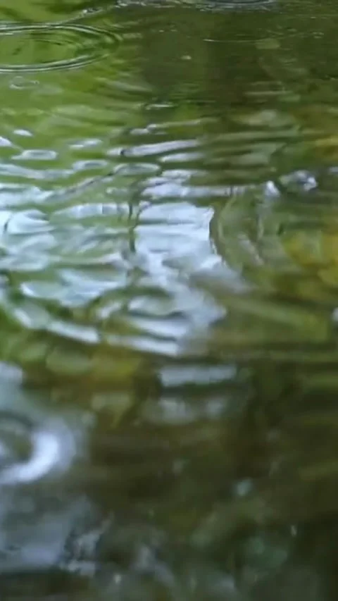 Raindrops in Puddles Stock Footage 242175902