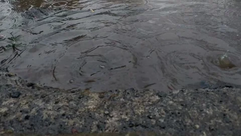 Raindrops on puddles Stock Footage 285595906