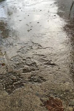 Raindrops in puddles on the pavement close up Stock Photos