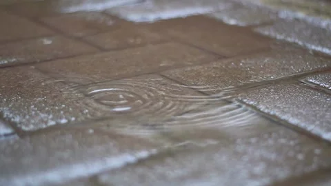 Raindrops in puddles on the trail in the afternoon Video stock 218068178