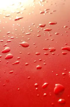 Raindrops on red Stock Photos