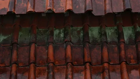 Raindrops on a red tile Stock Footage 165644587