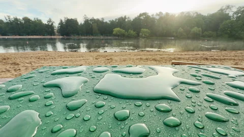 Raindrops rest on a green surface at a lake beach Video stock 344979697