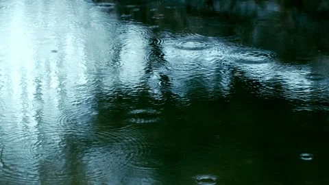 Raindrops ripple on the surface of the lake and water Stock Footage 256967531