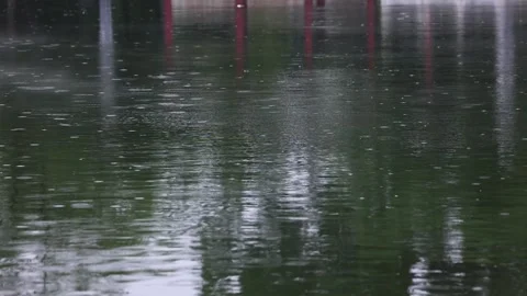 Raindrops ripple the water's surface 库存影片 344514715