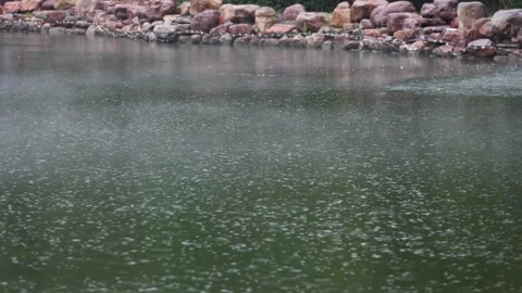 Raindrops ripple the water's surface 库存影片 344514823
