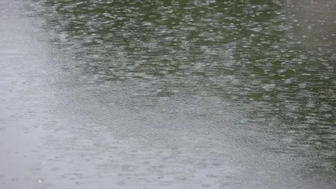 Raindrops ripple the water's surface 库存影片 344514913