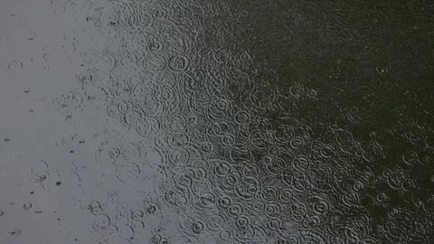 Raindrops ripple the water's surface 库存影片 344515918