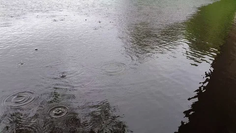 Raindrops on the river. Drops of water on the river. Worse weather. Flooding. Stock Footage 115031312