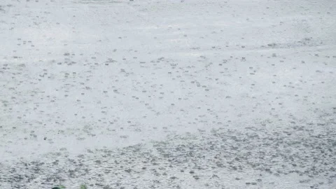 Raindrops on the road. Heavy rain falls on the roadway against the background Stock Footage 232796731
