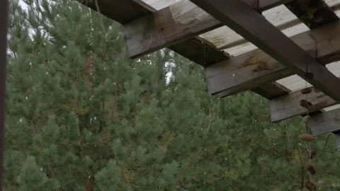 Raindrops from the roof Stock Footage 81014539