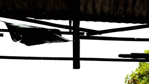 Raindrops on the roof Stock Footage 218657136