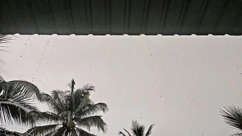 Raindrops from the roof Video stock 303555251