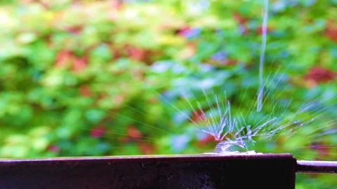 Raindrops run down Stock-Footage 323490840