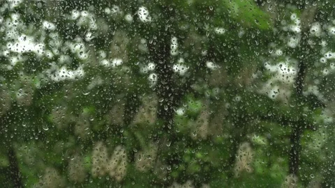 Raindrops run down the glass of the window.Blooming chestnut.Rainy, windy Stock Footage 156633633