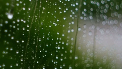 Raindrops running down a window pane Stock Footage